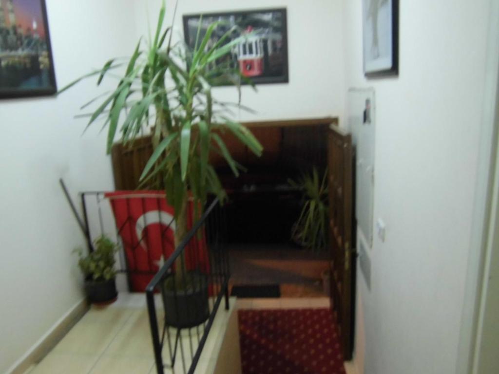 Cinar Hotel Antalya Extérieur photo